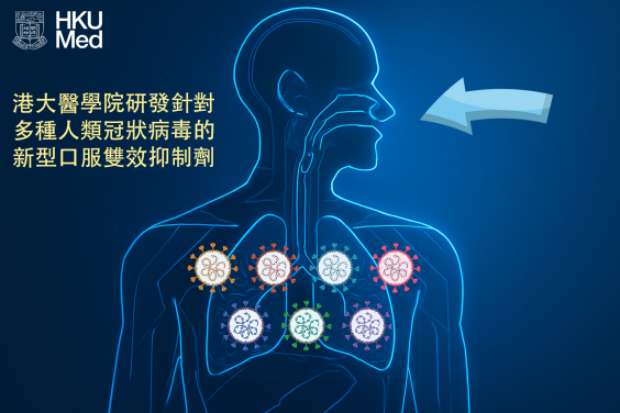 TMP1, the new bispecific inhibitor, has broad-spectrum antiviral efficacy against multiple human-pathogenic coronaviruses, including the highly pathogenic SARS-CoV-2, SARS-CoV-1 and MERS-CoV.
 